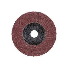 Pferd - Polifan Pff 100 A60 SG Steelox/16 (Pack of 10) | 67606100-10