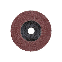 Pferd - Polifan Pff 100 A80 SG Steelox/16 (Pack of 10) | 67608100-10