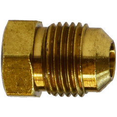 AIP - Flare Conn. Inverted Brass Plug - 1/2" (t) | 33-365-008 | BF6508