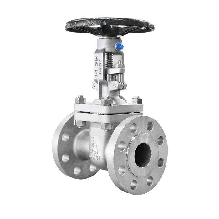 IFS Stainless Steel Gate Valve