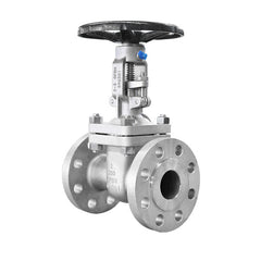 IFS Stainless Steel Gate Valve