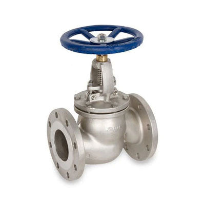 IFS Stainless Steel Globe Valve