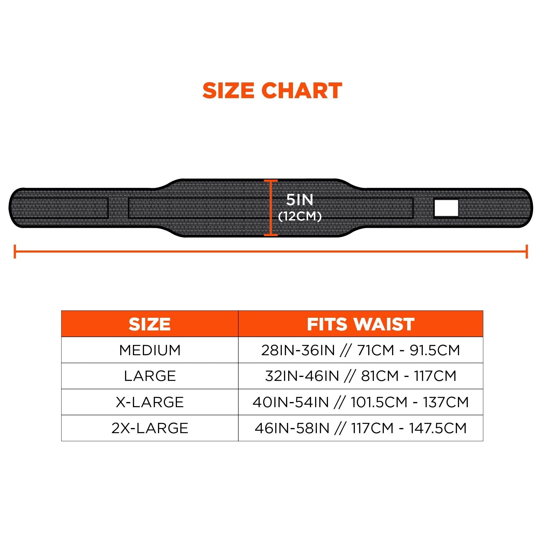 Ergodyne Arsenal 5555 Padded 5-Inch Work Tool Belt for All-Day Comfort