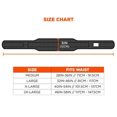 Ergodyne - Arsenal 5555 5-Inch Padded Tool Belt - Black | ER0005555NCD00M